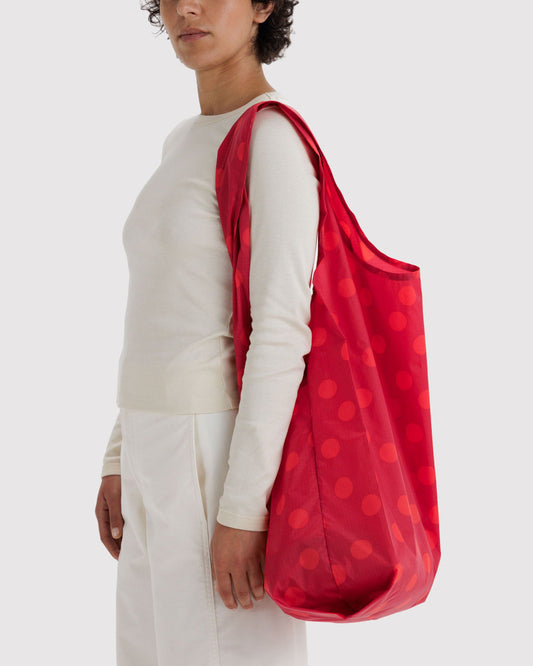 BIG BAGGU - US 6579