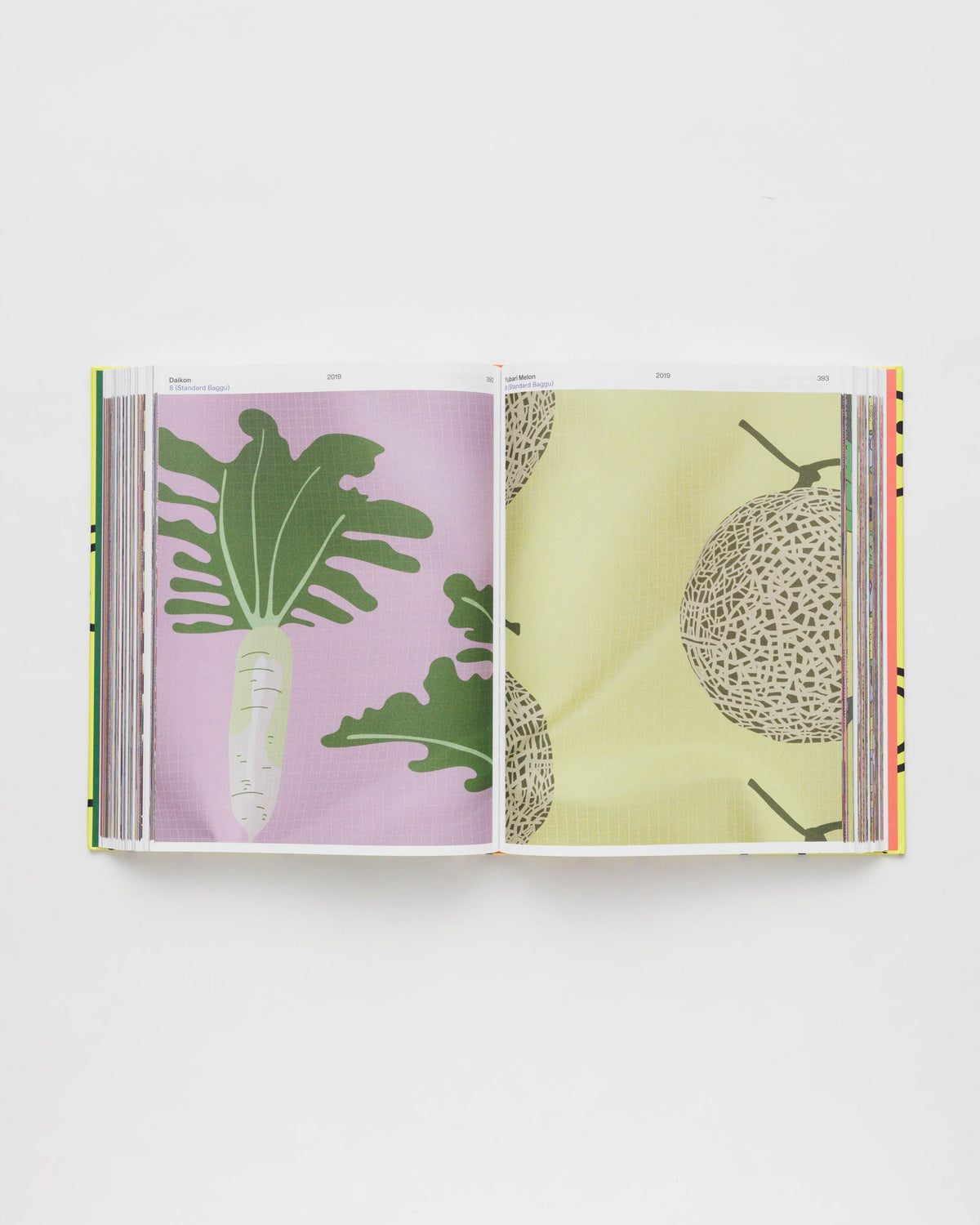 HOLD EVERYTHING: 15 YEARS OF BAGGU - US 5810