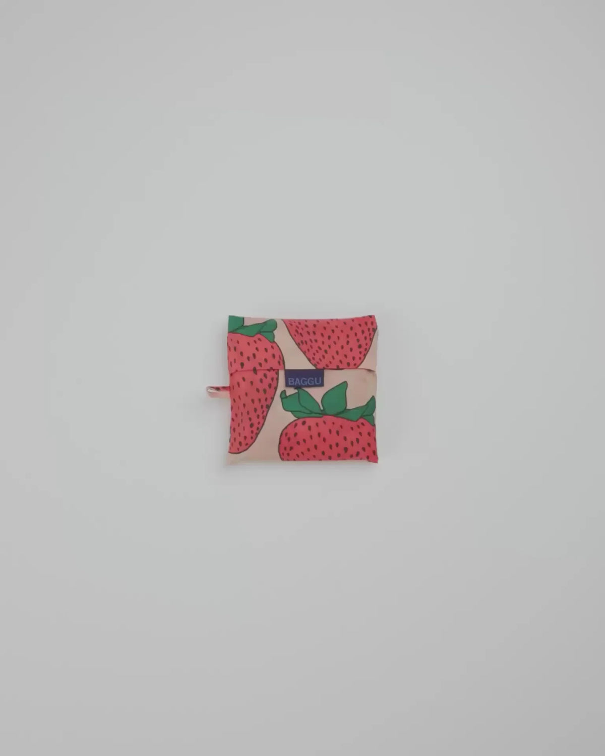 BIG BAGGU - US 5687