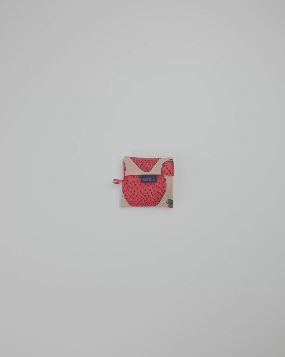 STANDARD BAGGU - US 5383